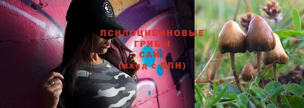 гидропоника Нягань
