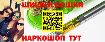 стафф Камышлов