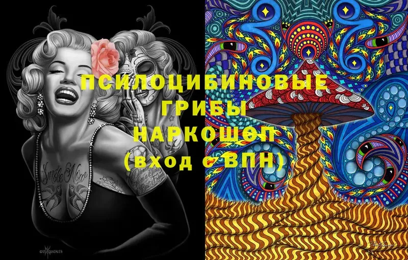 закладка  МЕГА ссылки  Псилоцибиновые грибы Magic Shrooms  Заринск 