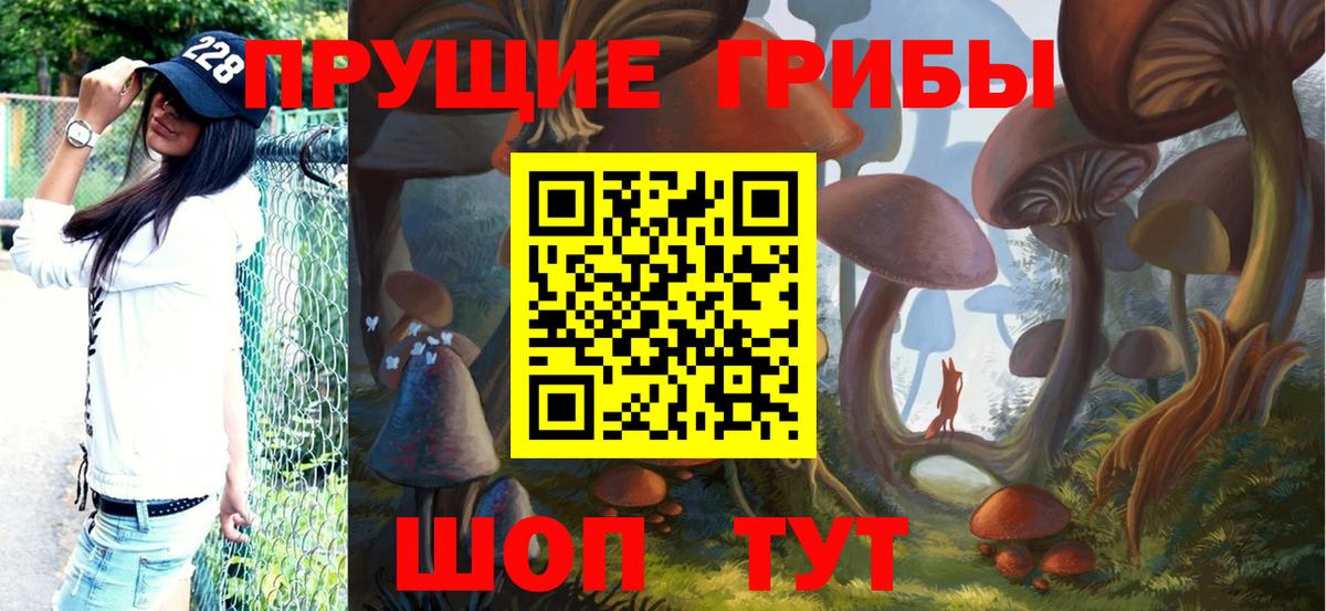 Заринск  Псилоцибиновые грибы мицелий  Вход с VPN 